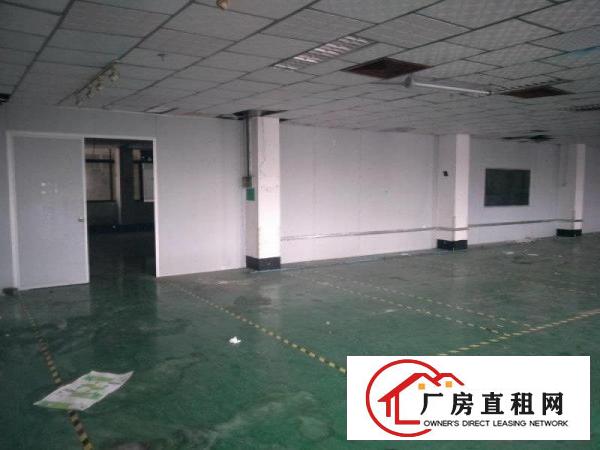 
清溪镇中心6500平方标准独院厂房出租