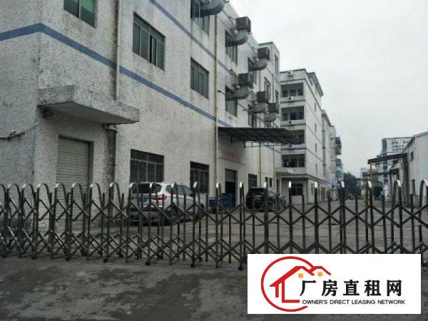 
清溪原房东9000平方标准独院厂房出租
