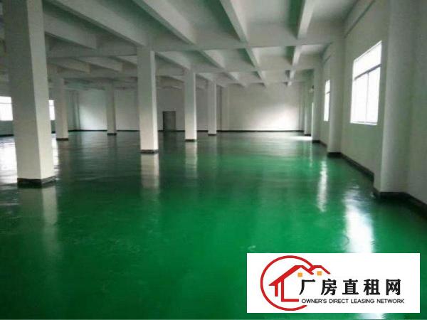 
清溪原房东9000平方标准独院厂房出租