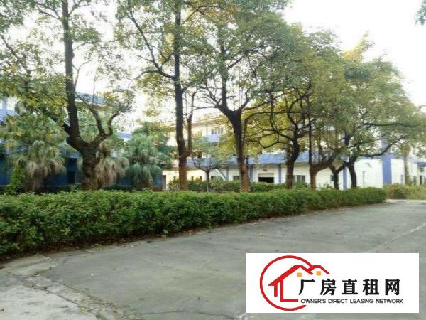 
清溪靠塘厦13元楼上2600平方花园式厂房出租