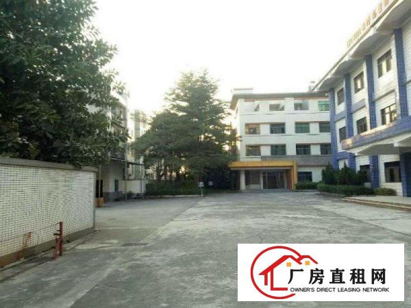 
清溪靠塘厦13元楼上2600平方花园式厂房出租