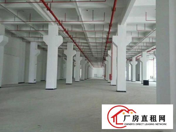 
清溪3万平米原房东厂房招租0公摊