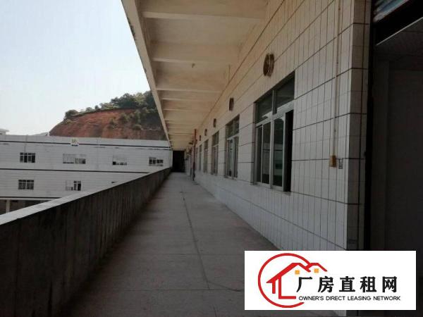 
清溪镇新出花园式独院总面积23000平面积实在