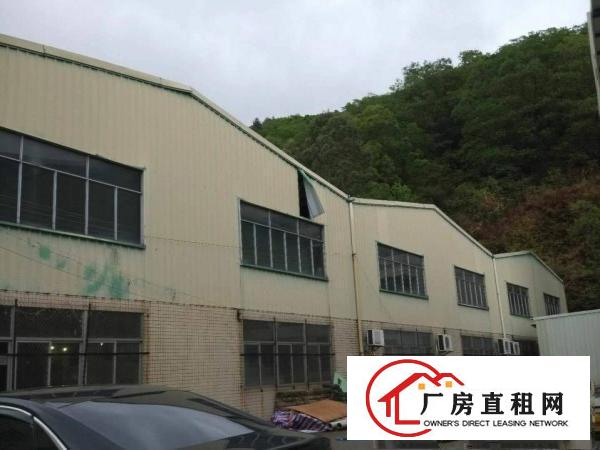 
清溪原房东独栋厂房4000平米面积实量