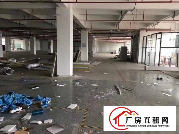 
清溪楼上3500平厂房，现成办公装修，有消防