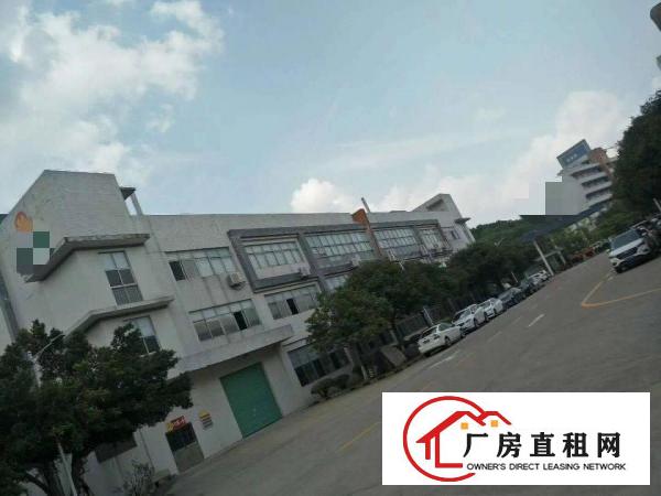 
清溪新出独院，标准厂房8栋，钢构1栋，大小可分租