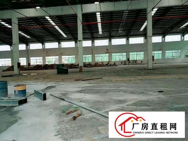 
清溪新出独院，标准厂房8栋，钢构1栋，大小可分租