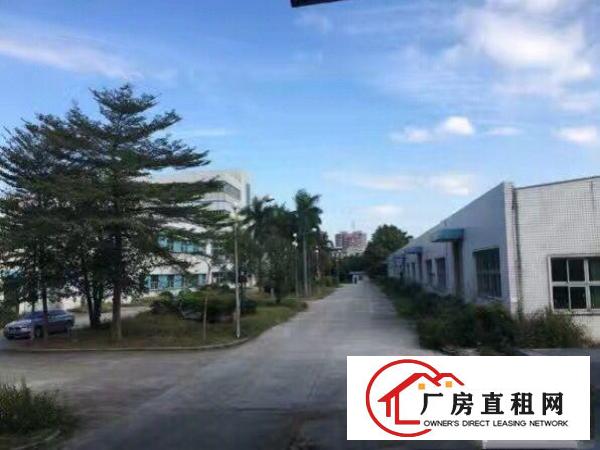 
东莞清溪一楼钢构厂房出租1200平方，带牛角高9米