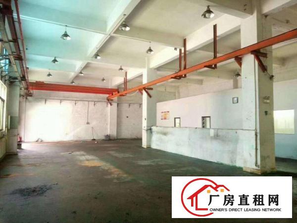 
清溪铁松新出1楼600平标准厂房，有行车，水电齐