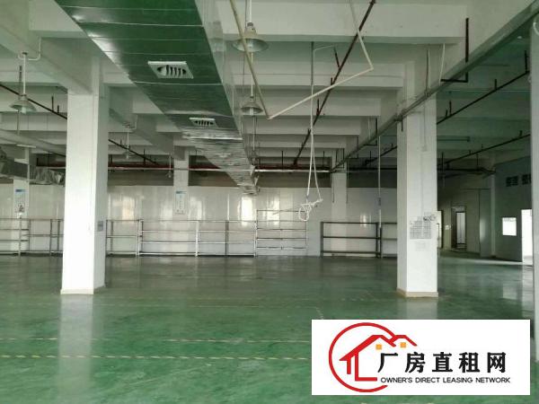 
清溪大埔楼上3600平厂房，全新地平漆，带办公装修