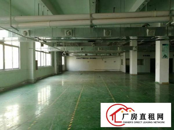 
清溪大埔楼上3600平厂房，全新地平漆，带办公装修