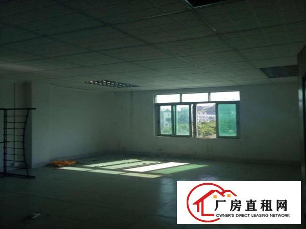 
清溪科技路边，新出3000平厂房出租，带办公装修
