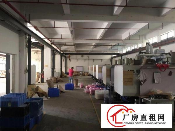 
清溪大利一楼1450平，高6米，带行车，适五金注塑