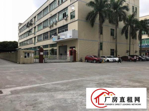 
清溪三中清凤路边，出租一楼2000平厂房，带牛角