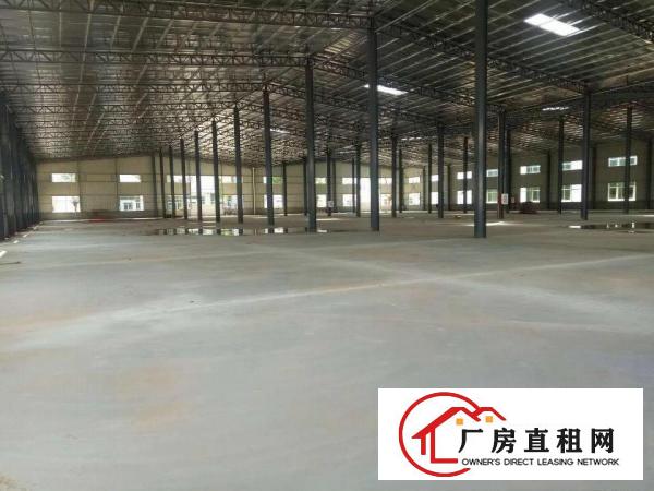 
清溪全新独栋钢构厂房出租，滴水8米，可以分租