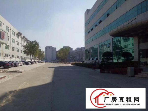 
清溪全新独栋钢构厂房出租，滴水8米，可以分租