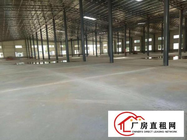 
清溪全新独栋钢构厂房出租，滴水8米，可以分租