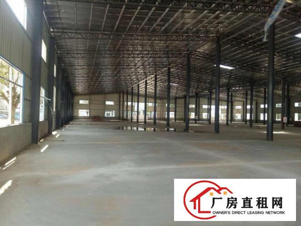 
清溪全新独栋钢构厂房出租，滴水8米，可以分租