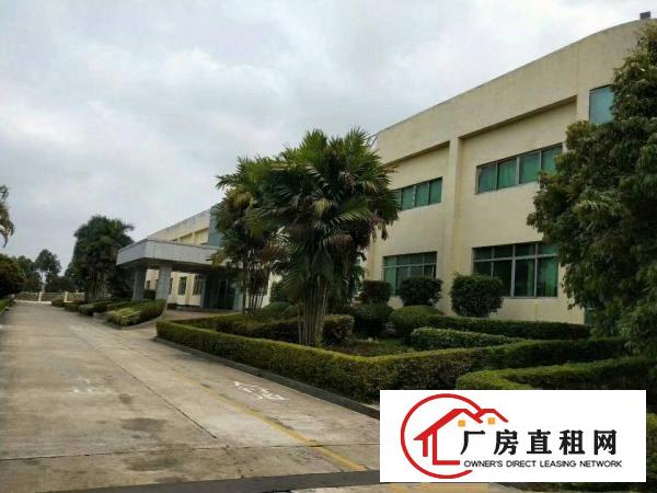 
清溪近凤岗新出花园式独院钢构厂房4万平方出租空地大
