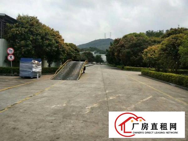 
清溪近凤岗新出花园式独院钢构厂房4万平方出租空地大