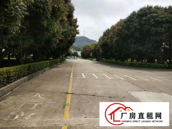 
清溪近凤岗新出花园式独院钢构厂房4万平方出租空地大