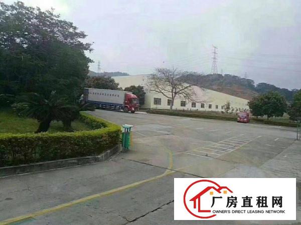 
清溪近凤岗新出花园式独院钢构厂房4万平方出租空地大