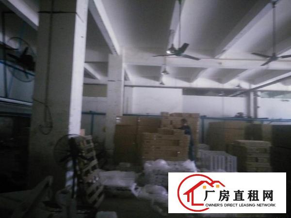
清溪镇成熟工业区新出一楼厂房1300出租空地大