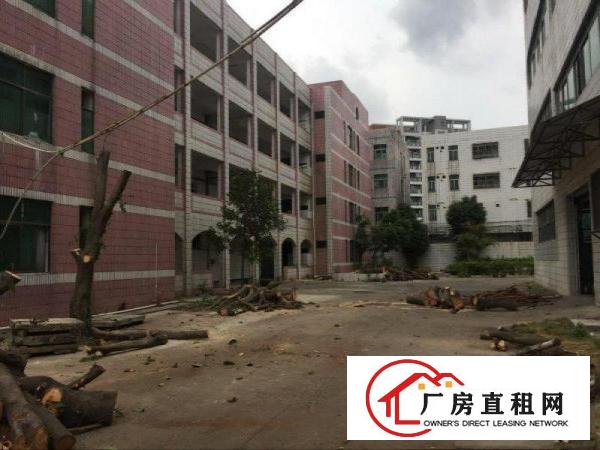 
清溪镇中心独门独院厂房出租9600平方，适合各行业
