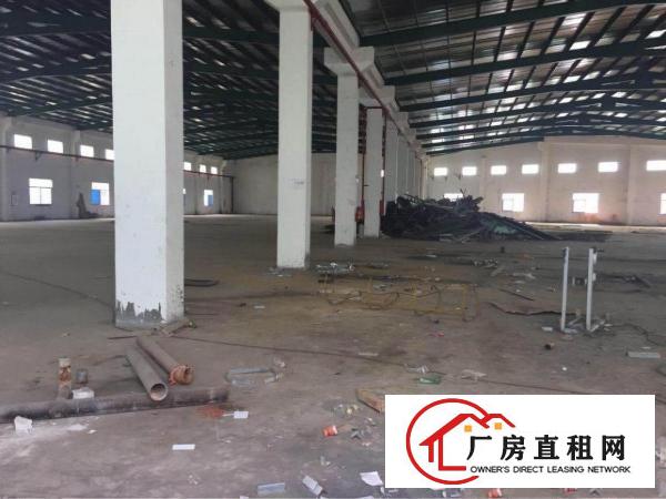 
清溪青皇主干道边标准钢构6000平方