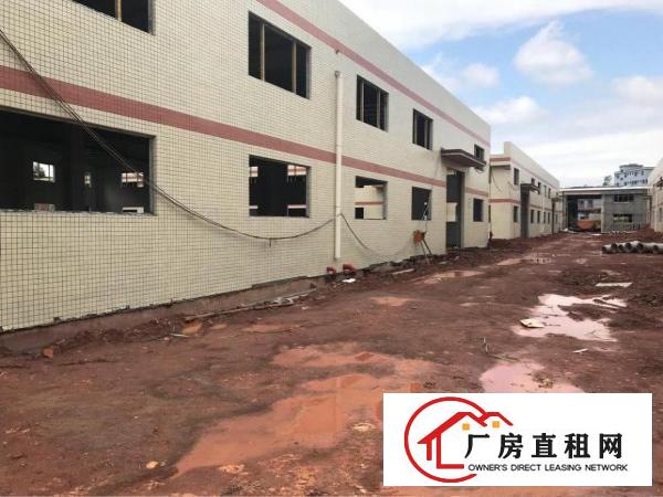 
清溪三中原房东全新钢构18500平方