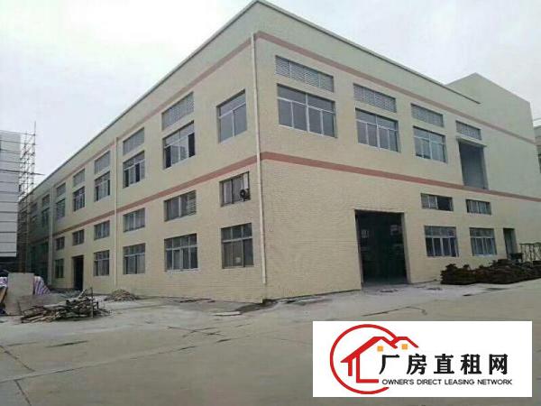 
清溪全新独院9000平方招租