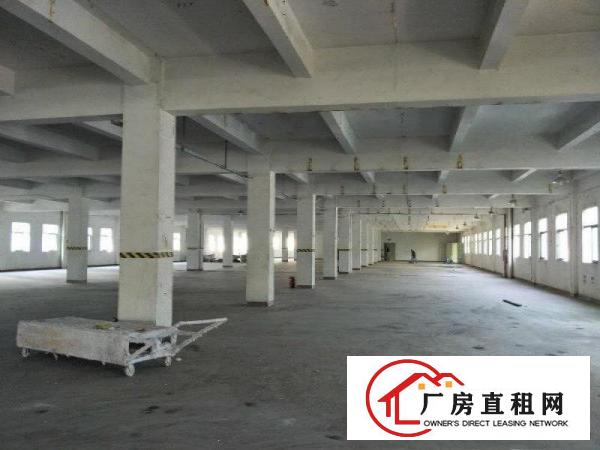 
清溪80000平方国有证房产证齐全花园式厂房出租