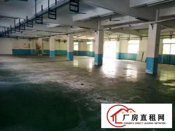 
		带牛角带行车！横沥两层4000平方米独院厂房出租
	