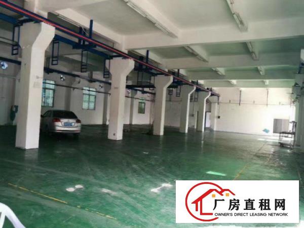 
		带牛角带行车！横沥两层4000平方米独院厂房出租
	