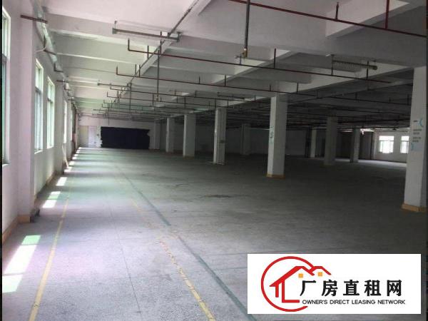 
		横沥原房东一楼2000平方厂房招租带宿舍办公！
	