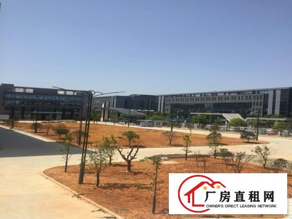
		高新企业重工业厂房出租2.3楼
	