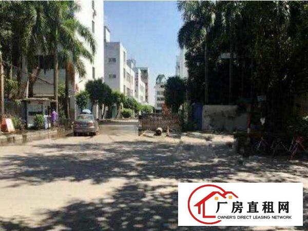 
		出租横沥村头大型工业园、标准一楼700方出租、带办公
	