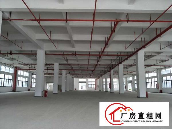 
		中山市三角镇10万方全新科技产业园招租（可做化工）
	