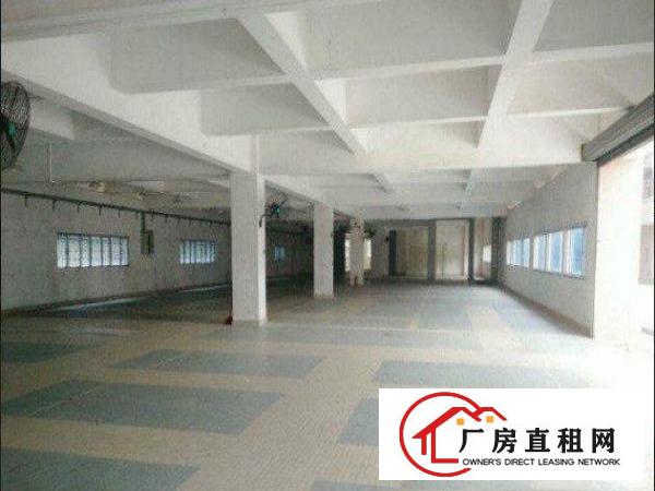 
		横沥田坑标准厂房一楼500平
	