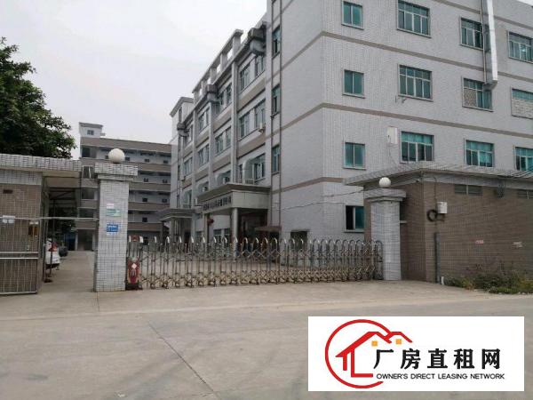 
		横沥镇东部快线出口原房东独院楼房厂房6500平米
	