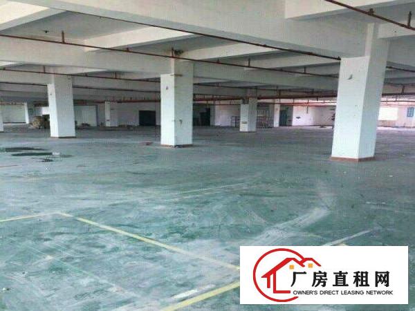 
		三江工业区，标准厂房2楼，1500平米，带地坪漆。
	