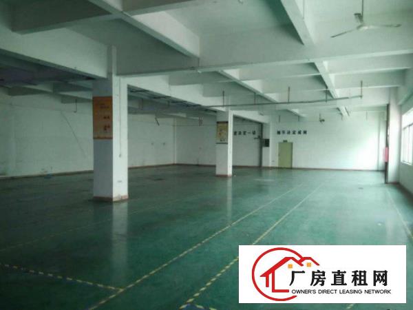 
		振兴中路现有三楼600平方厂房带精装办公室
	