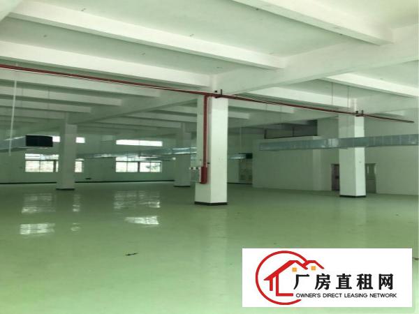 
		超靓工业园分租一楼1000平方
	