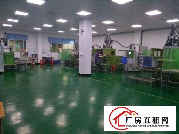 
		横沥镇隔坑附近标准一楼1000平方
	