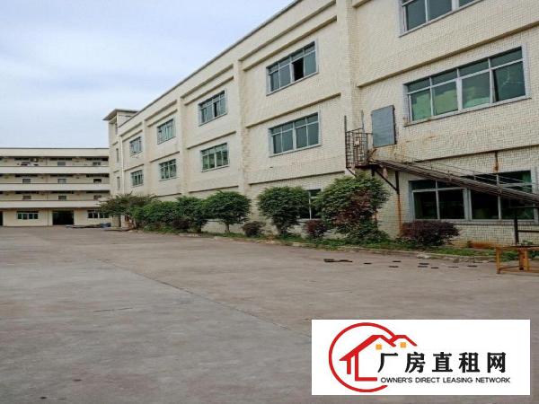 
		标准独门独院厂房招租
	