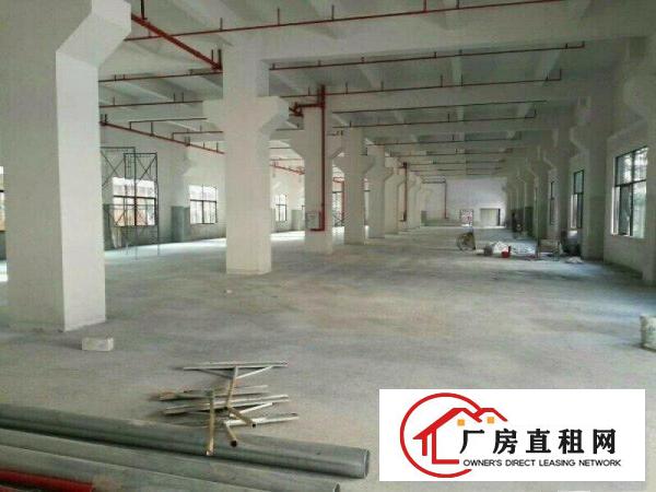 
		石涌工业区标准厂房一楼1100平米原房东厂房
	