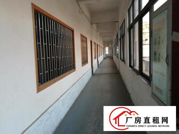 
		独门独院标准厂房出租
	
