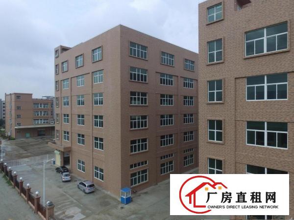 
		大湾区中心、政府补贴、广州南沙5500方厂房出租
	