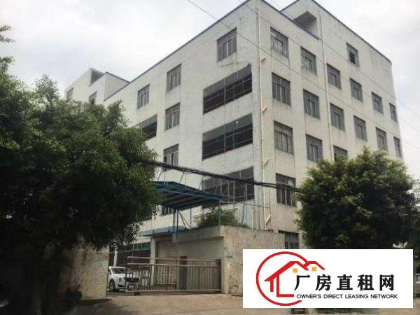 
		横沥石涌楼上标准厂房750方
	