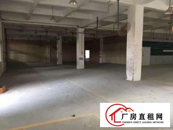 
		横沥石涌一楼标准厂房1000平形象好
	